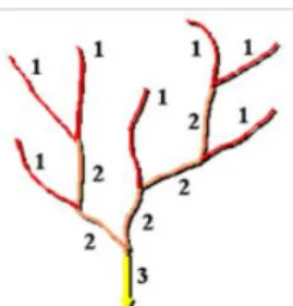 Gambar 3.4 Metode Aliran Strahler 