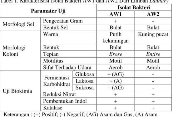 Tabel 1. Karakterisasi Isolat Bakteri AW1 dan AW2 Dari Limbah Laundry  Paramater Uji  Isolat Bakteri 