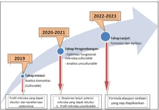 Gambar 2. Road map penelitian. 