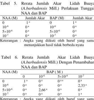 Tabel  5.  Rerata  Jumlah  Akar    Lidah  Buaya  (A.barbadensis  Mill.)  Perlakuan  Tunggal   NAA dan BAP 