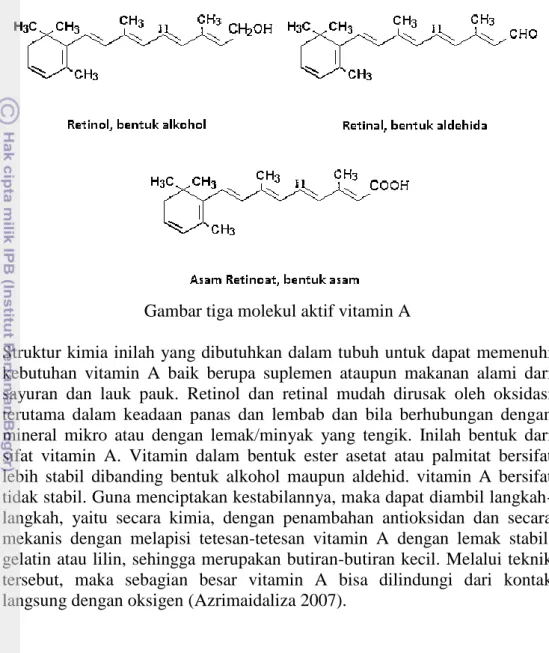 Gambar tiga molekul aktif vitamin A 