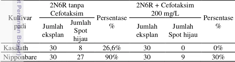 Tabel 2 Perbandingan daya regenerasi padi Kasalath dan Nipponbare 