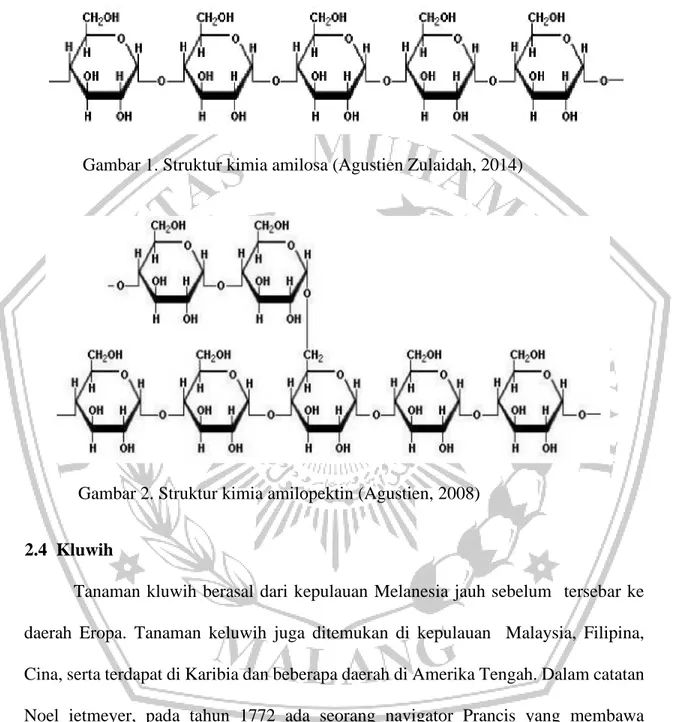 Gambar 1. Struktur kimia amilosa (Agustien Zulaidah, 2014) 