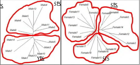 Gambar 3. Unrooted tree wajah frontal laki-laki tipe I (A1), tipe II (A2) dan unrooted tree wajah frontal perempuan  tipe I (B1), tipe II (B2), dan tipe III (B3), paket ape dan paket gee, program R