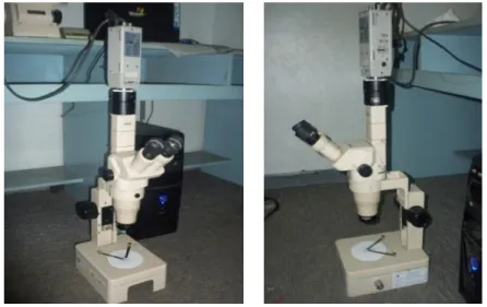 Gambar 3.6. Zoom Stereo Microscope 