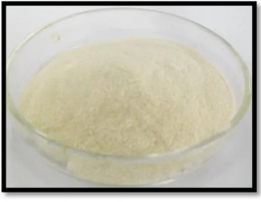 Gambar 1 Kitosan komersil 