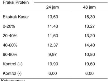 Tabel  3.  Bioaktivitas  fraksi  protein  dari  alga  merah  Gelidium  amansii  terhadap  Salmonella  typhi  selama  24  jam dan 48 jam 