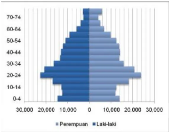 Gambar 4. 1 Piramida Penduduk Kota Yogyakarta,   sumber:  Peraturan Walikota Yogyakarta No.24 Tahun 2014, 2015 