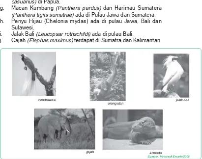 Gambar 2.4Beberapa hewan endemik di Indonesia