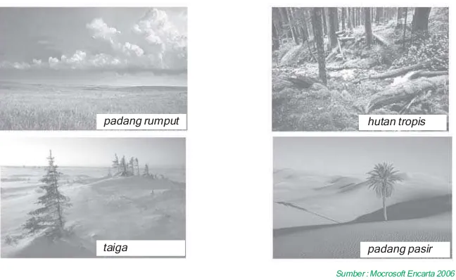 Gambar 2.6Gambar beberapa tipe ekosistem (searah jarum jam) yaitu taiga, padang rumput, hutan