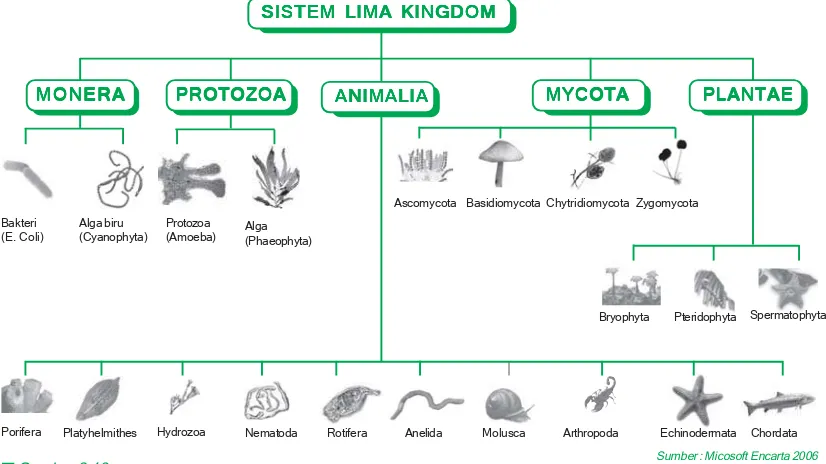 Gambar 2.13Sistem klasifikasi makhluk hidup dengan sistem lima Kingdom