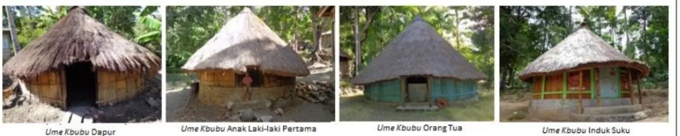 Gambar 1. Jenis Ume kbubu di Desa Kaenbaun  