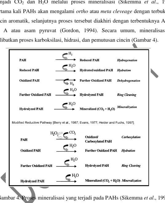 Gambar 4. Proses mineralisasi yang terjadi pada PAHs (Sikemma et al., 1995). 