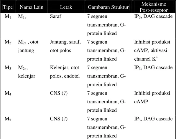 Tabel 3. Subtipe dan Karakteristik Kolinoseptor 