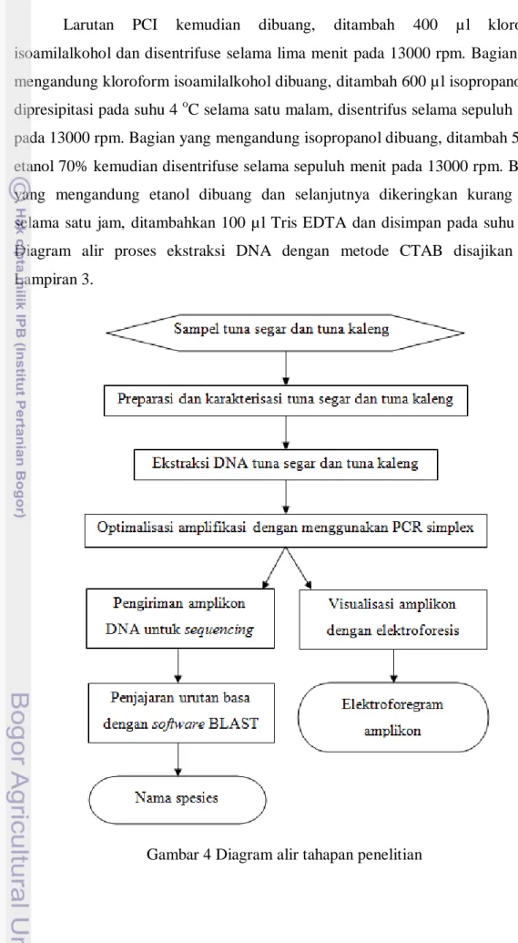 Diagram  alir  proses  ekstraksi  DNA  dengan  metode  CTAB  disajikan  pada  Lampiran 3