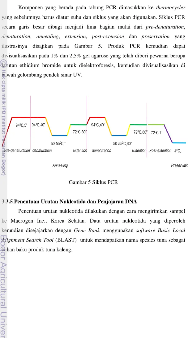 Gambar 5 Siklus PCR 