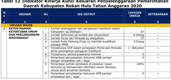 Tabel 12 Indikator Kinerja Kunci Keluaran Penyelenggaraan Pemerintahan  Daerah Kabupaten Rokan Hulu Tahun Anggaran 2020 
