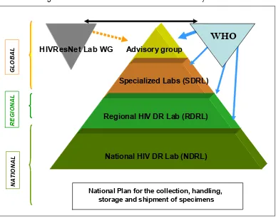 Figure 1. Structure of the HIVResNet Laboratory Network 