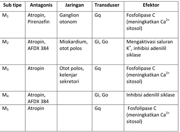 Tabel 2.1 Subtipe  reseptor  muskarinik  dengan  antagonisnya  dan  jenis  transduser  (Harahap, dkk., 2015)