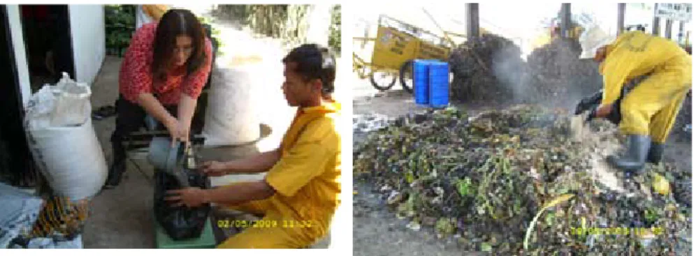 Gambar 3 – 16. Proses Pembuatan Pupuk Organik dari Limbah Organik Sampah  Rumah Tangga dan Aplikasi Pupuk Organik Sampah Rumah Tangga pada Sayuran  (Sawi)