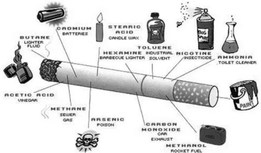 Gambar 2. Kandungan racun dalam rokok. 