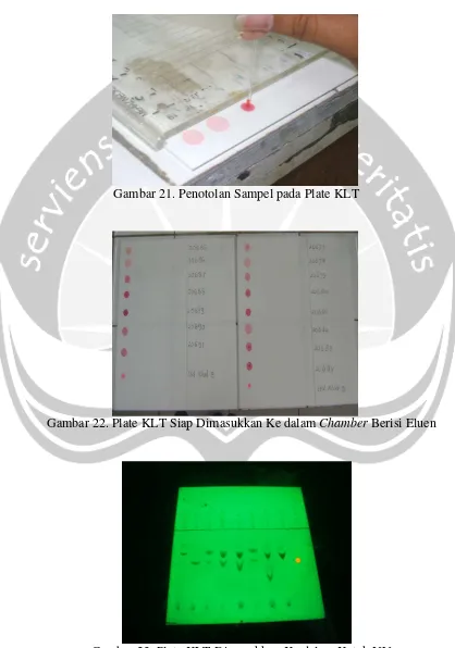 Gambar 23. Plate KLT Dimasukkan Ke dalam Kotak UV