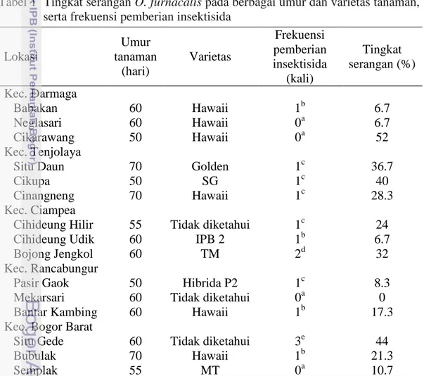 Tabel 1  Tingkat serangan O. furnacalis pada berbagai umur dan varietas tanaman,  serta frekuensi pemberian insektisida  