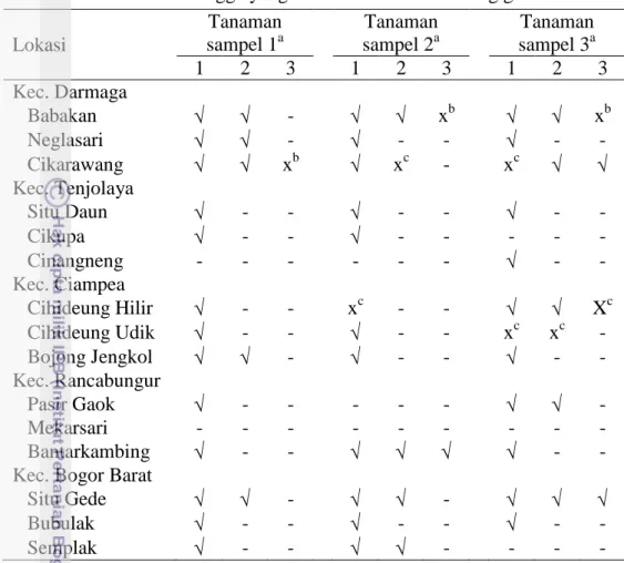 Tabel 2  Keberadaan serangga yang berasal dari dalam lubang gerek   Lokasi  Tanaman sampel 1a Tanaman sampel 2a Tanaman sampel 3a 1  2  3  1  2  3  1  2  3  Kec