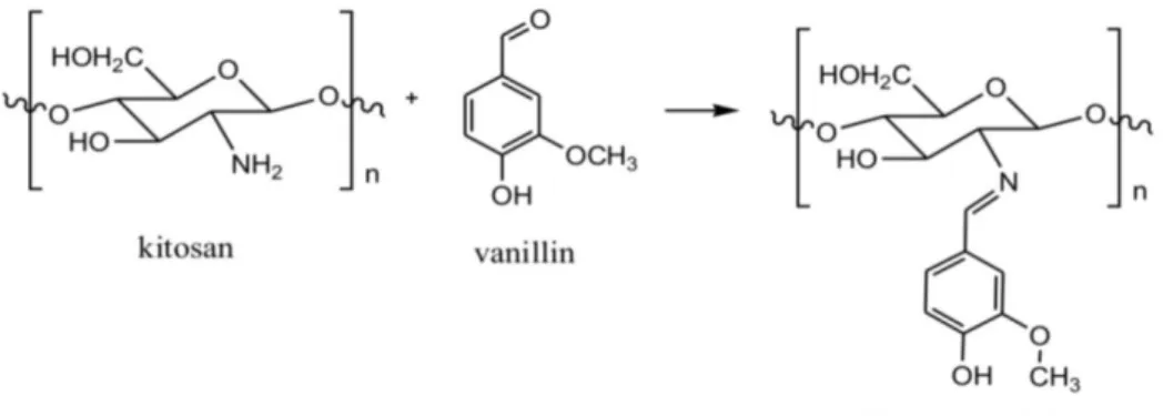 Gambar 1. Reaksi sintesis kitosan vanilin 