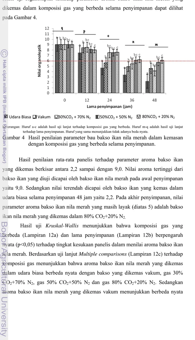 Gambar 4  Hasil penilaian parameter bau bakso ikan nila merah dalam kemasan  dengan komposisi gas yang berbeda selama penyimpanan