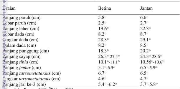 Tabel 4  Karakteristik ukuran tubuh itik Alabio jantan dan betina 