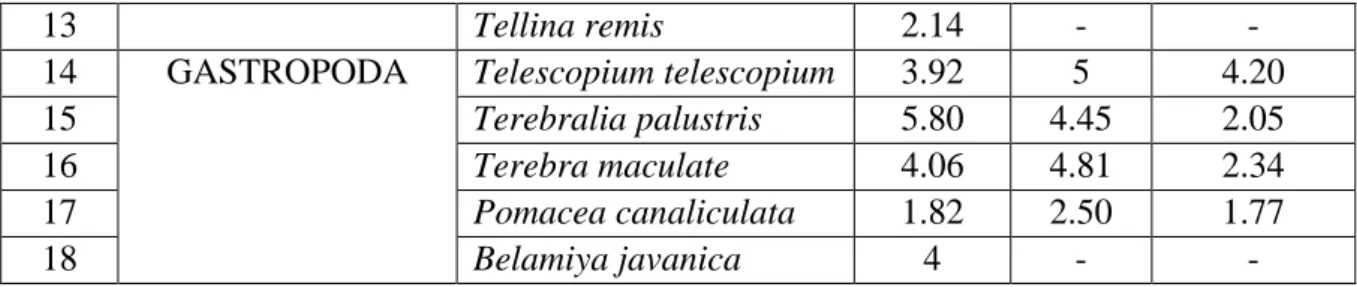 Tabel 3. Indeks Keanekaragaman Moluska (H ’ ) di Muara Sungai Jeneberang 