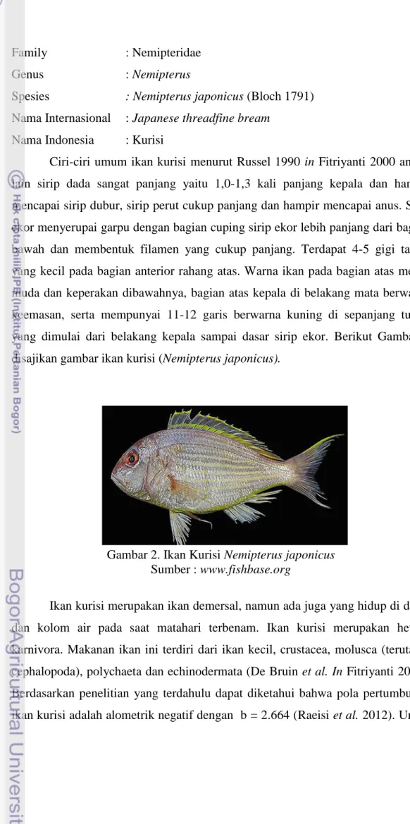 Gambar 2. Ikan Kurisi Nemipterus japonicus  Sumber : www.fishbase.org 