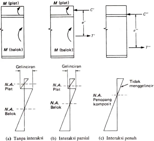 Gambar 2.2 Variasi regangan pada balok komposit (Charles G. Salmon: 1995) 