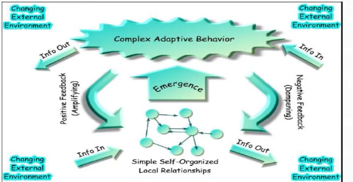 Gambar 2.2 : Sistem Adaptif yang Kompleks (Complex Adaptive System) 