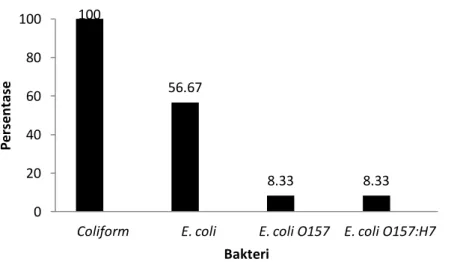 Gambar 2. Persentasi perbandingan terdeteksinya Coliform, E. coli   serta kehadiaran E