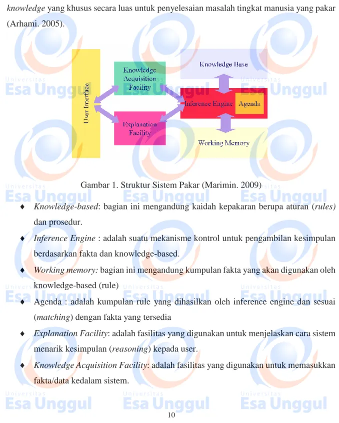 Gambar 1. Struktur Sistem Pakar (Marimin. 2009) 