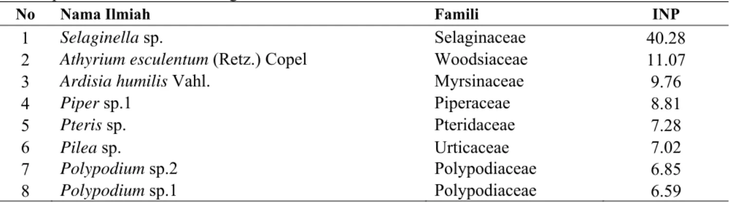 Tabel 1. Jenis groundcover dan sukunya serta Indeks Nilai Pentingnya yang dijumpai di dalam plot  permanen 1 Ha di Gunung Pohen