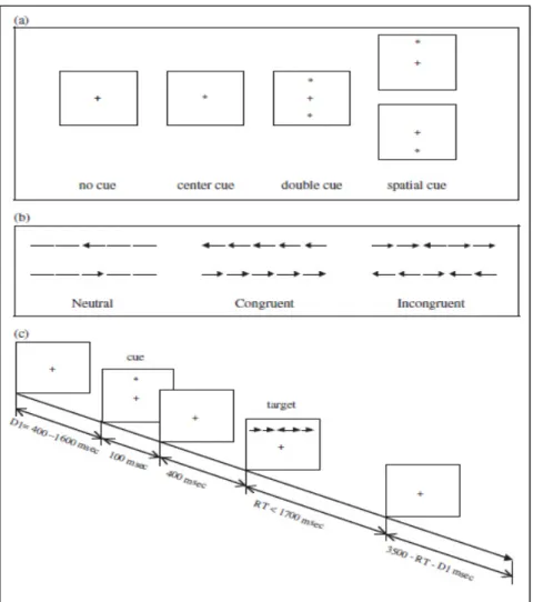 Gambar 4. Prosedur Attention Network Test (ANT) 