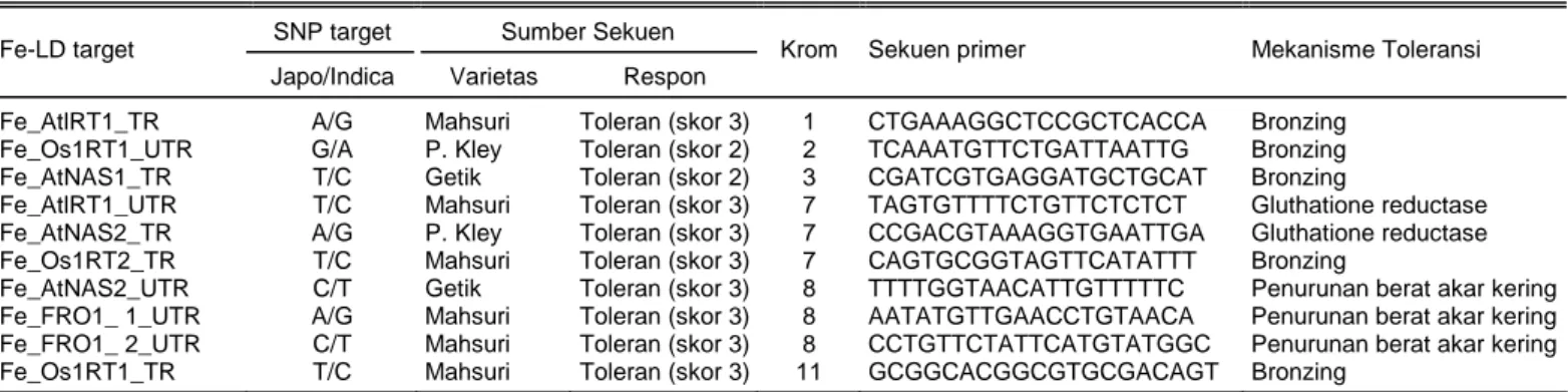 Tabel 2.  Primer Fe-SNP berdasarkan hasil sekuensing Fe-LD 3 aksesi plasma nutfah padi pada beberapa kromosom dan mekanisme toleransi  yang berbeda