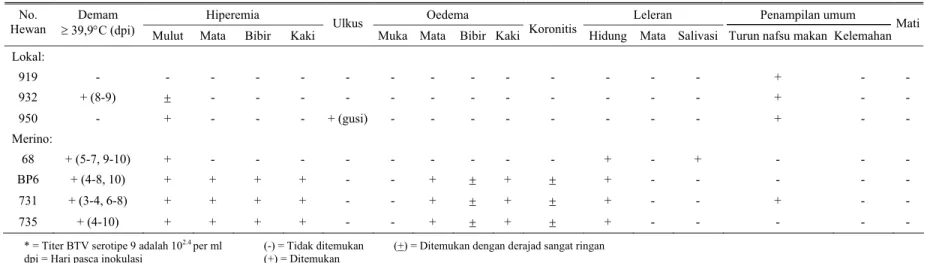 Tabel 5. Gejala klinis akibat infeksi BTV serotipe 9 pada domba Merino dan Lokal 