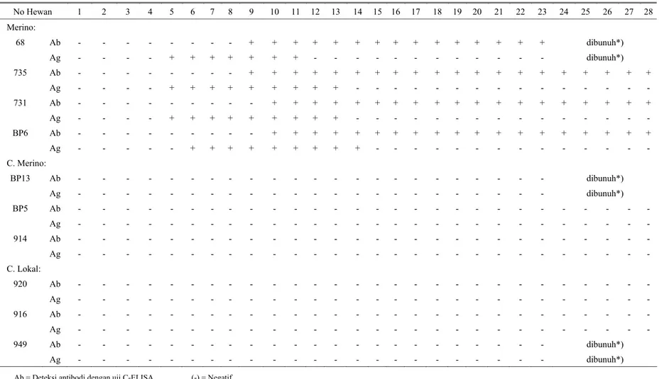 Tabel 2. Deteksi antigen BTV dan serokonversi antibodi pada domba yang diinokulasikan dengan virus BTV serotipe 9 (lanjutan)  No Hewan  1  2  3  4  5  6  7  8  9  10  11  12  13  14  15  16  17  18  19  20  21  22  23  24  25  26  27  28  Merino:  68  Ab  