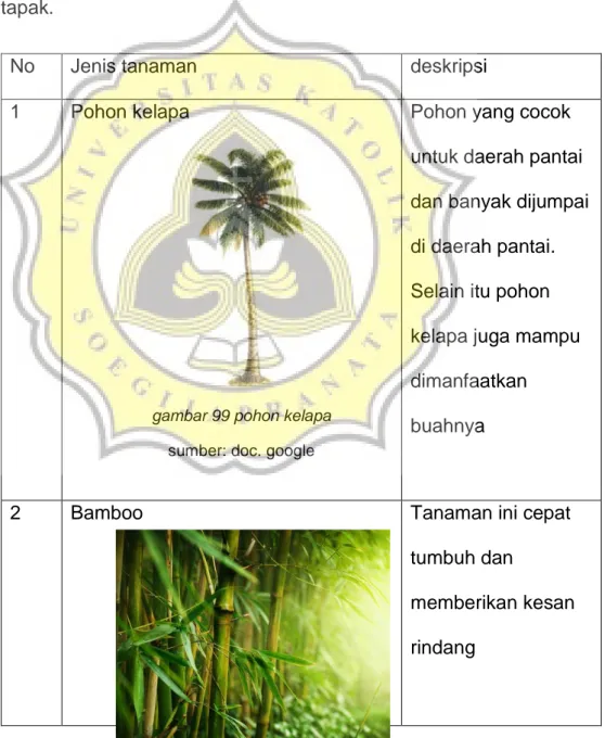 gambar 99 pohon kelapa  sumber: doc. google 