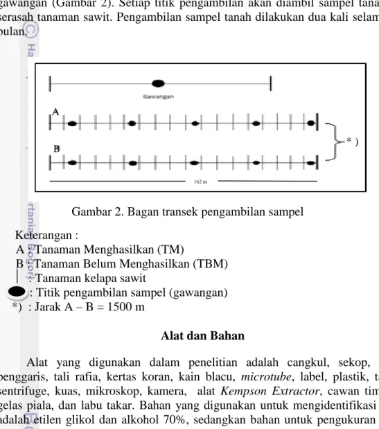 Gambar 2. Bagan transek pengambilan sampel   Keterangan :  