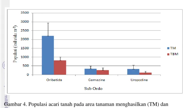 Gambar 4. Populasi acari tanah pada area tanaman menghasilkan (TM) dan    tanaman belum menghasilkan (TBM) 