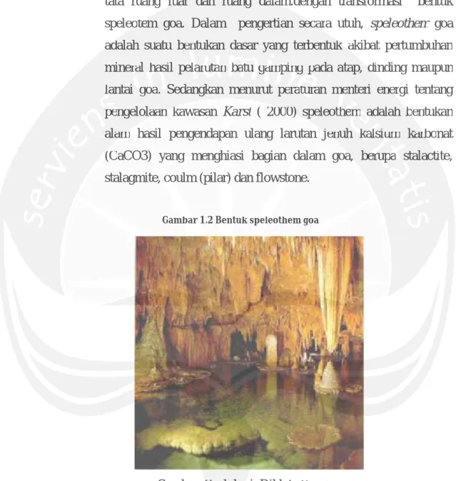 Gambar 1.2 Bentuk speleothem goa 
