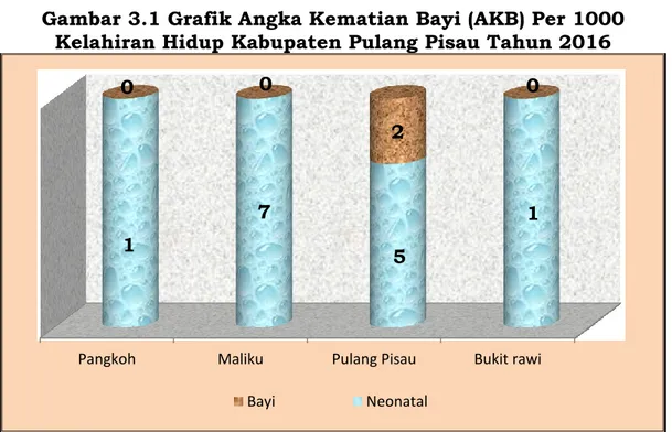 Gambar 3.1 Grafik Angka Kematian Bayi (AKB) Per 1000  Kelahiran Hidup Kabupaten Pulang Pisau Tahun 2016 