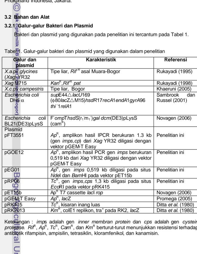Tabel 1. Galur-galur bakteri dan plasmid yang digunakan dalam penelitian  Galur dan 