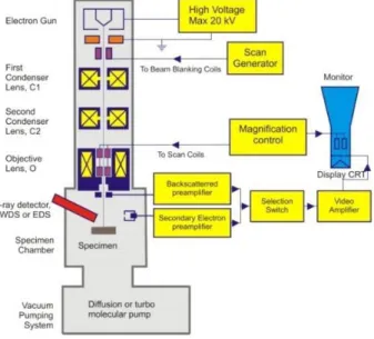 Gambar 6. Blok diagram SEM 