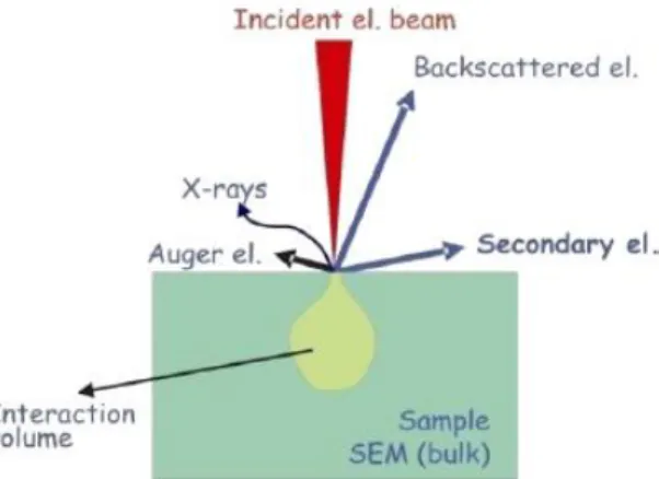 Gambar 7.  Skema interaksi antara bahan dan elektron di dalam SEM 